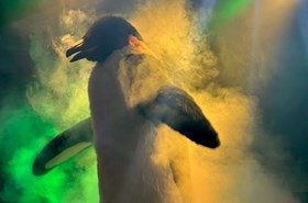 Amazing Animals 3